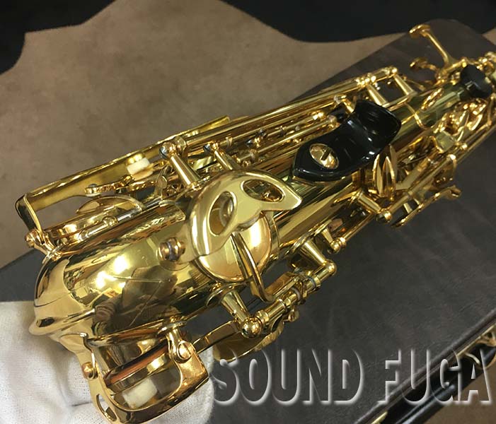YANAGISAWA SC-800 カーブドソプラノ YANAGISAWA SC-800 カーブドソプラノ