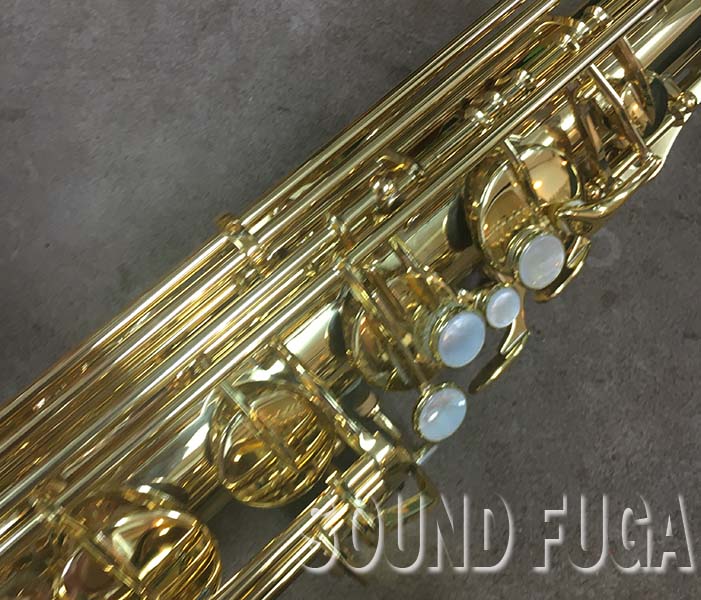 YANAGISAWA T-WO10 TENOR テナーサックス YANAGISAWA T-WO10 TENOR テナーサックス