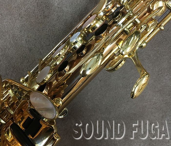 YANAGISAWA SC-WO20 カーブドソプラノサックス