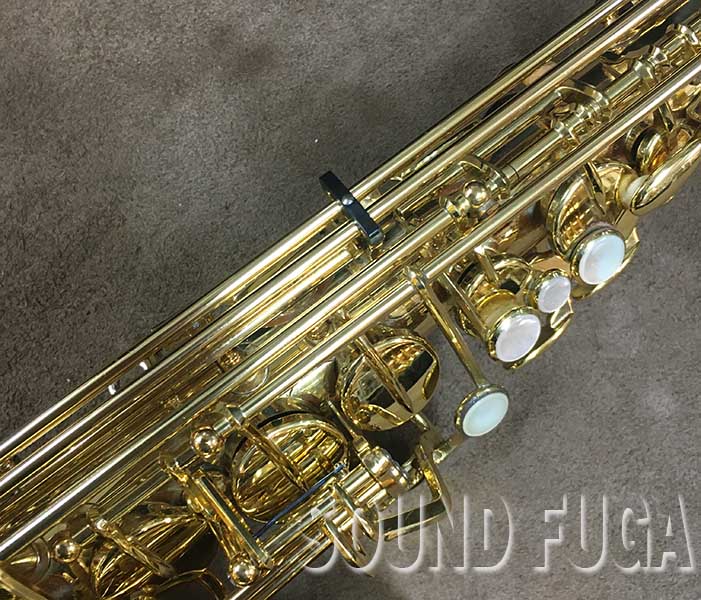 YANAGISAWA A-900 ALTO アルトサックス YANAGISAWA A-900 ALTO アルトサックス