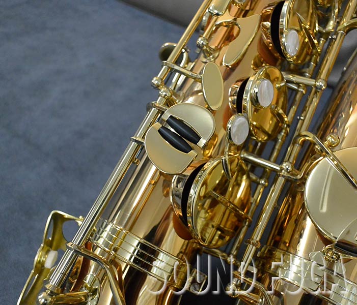 YANAGISAWA T-WO2 TENOR テナーサックス