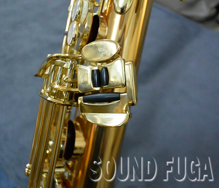 YANAGISAWA T-WO2 TENOR テナーサックス