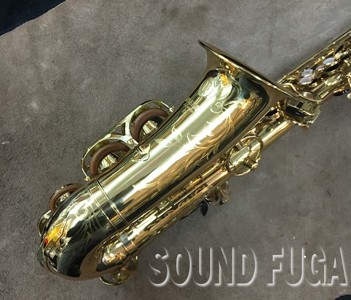 YANAGISAWA A-880 Elimona ALTO アルトサックス