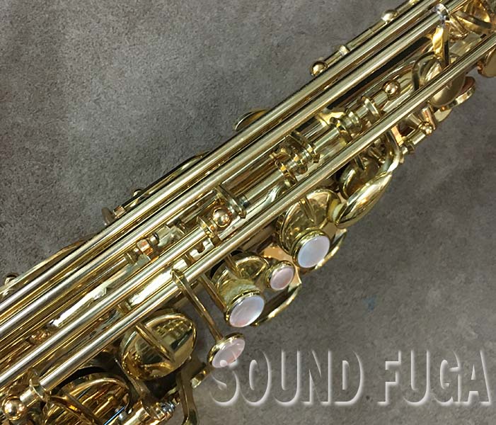YANAGISAWA A-880 Elimona ALTO アルトサックス
