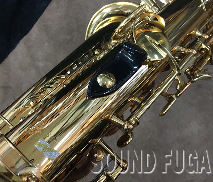 YANAGISAWA A-880 Elimona ALTO アルトサックス