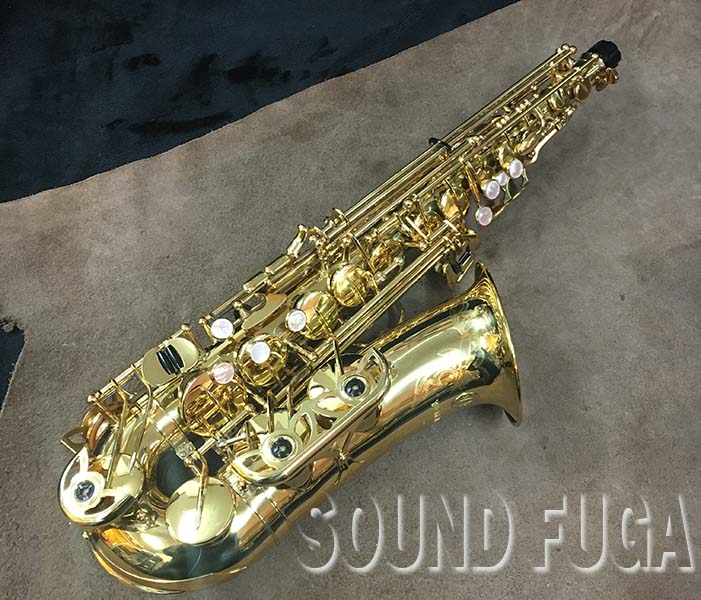 YANAGISAWA A-800 ELIMONA エリモナ アルトサックス YANAGISAWA A-800 ELIMONA エリモナ アルトサックス