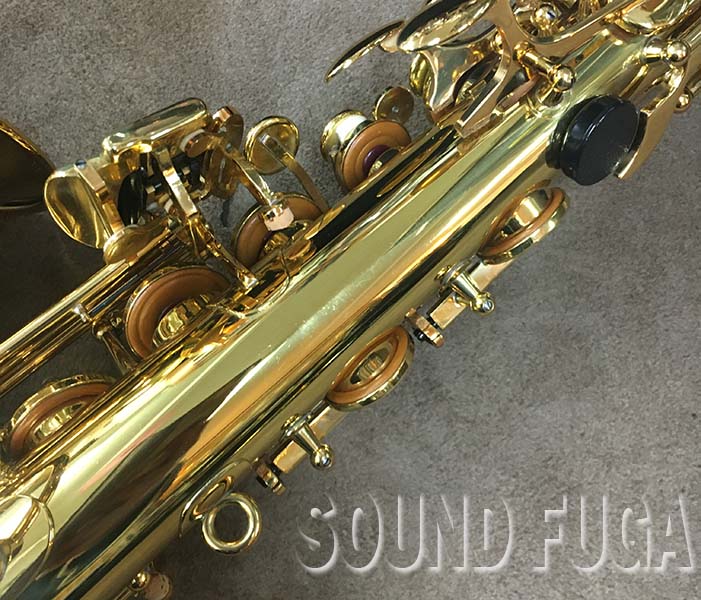 YANAGISAWA A-800 ELIMONA エリモナ アルトサックス