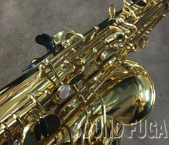 YANAGISAWA A-800 ELIMONA エリモナ アルトサックス