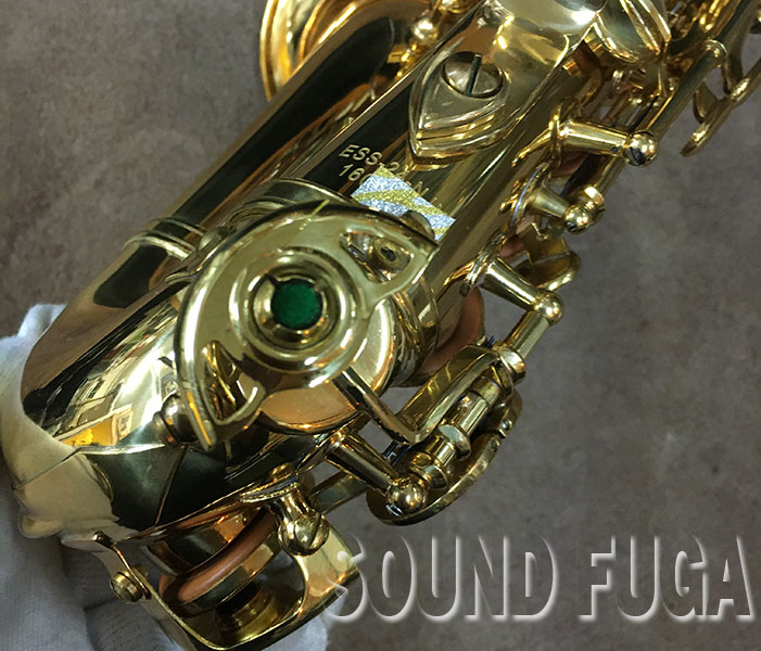 ELDON-ANTIGUA CURVED SOPRANO カーブドソプラノ