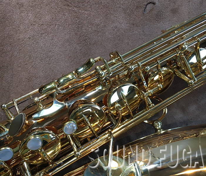 YANAGISAWA T-WO2 テナーサックス Amazon.co.jp: YANAGISAWA T-WO2 テナーサックス ブロンズブラス