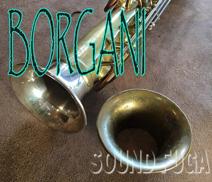 241202borgani_ssobsflitak1115_ 241202borgani_ssobsflitak1115_