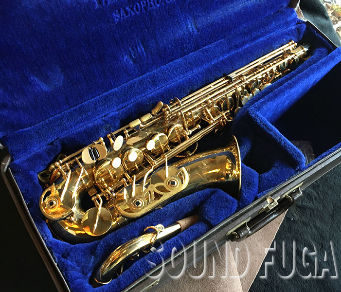 YANAGISAWA A-880 Elimona ALTO アルトサックス